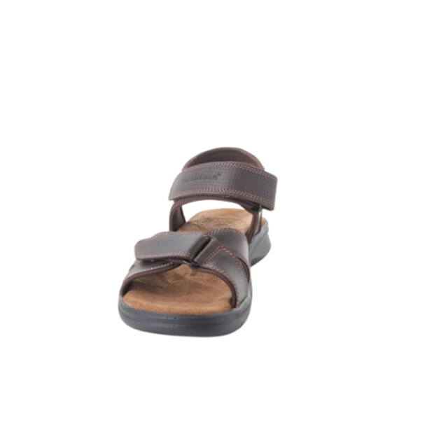 Panama Jack Sanders Basics Sandalen Bruin Sanders Basics large