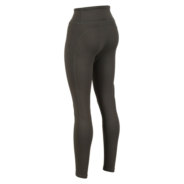 Regatta Dames holeen ii legging UTRG7832_grapeleaf large