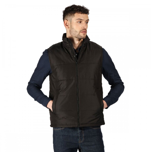 Regatta Heren access geïsoleerde bodywarmer UTRG3564_black large