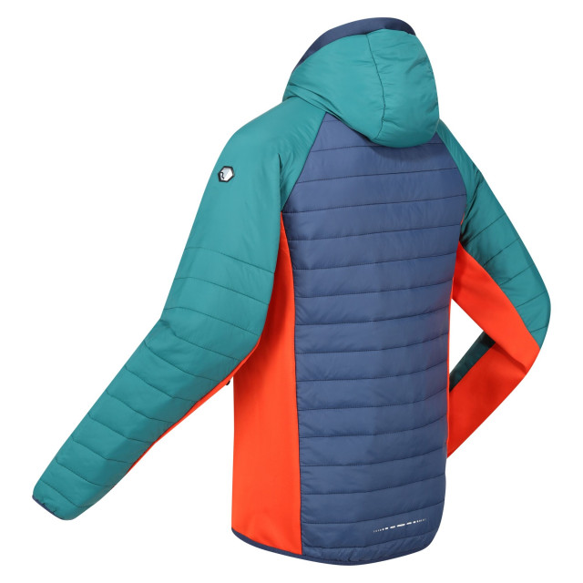 Regatta Heren trutton hooded soft shell jacket UTRG8035_admiralbluepacificgreen large