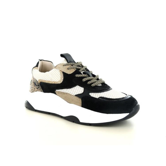 PS Poelman Iva 01 Iva 01 large