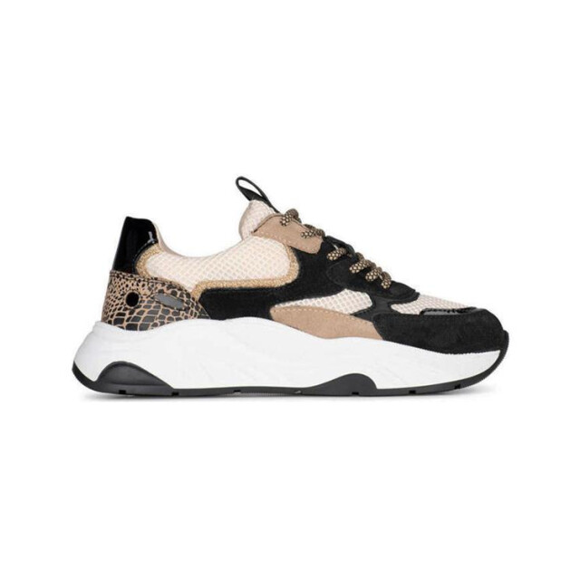 PS Poelman Iva 01 Iva 01 large