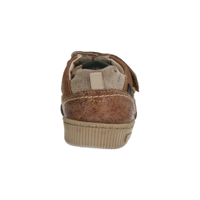 Develab 2799 bruin 2799 bruin large
