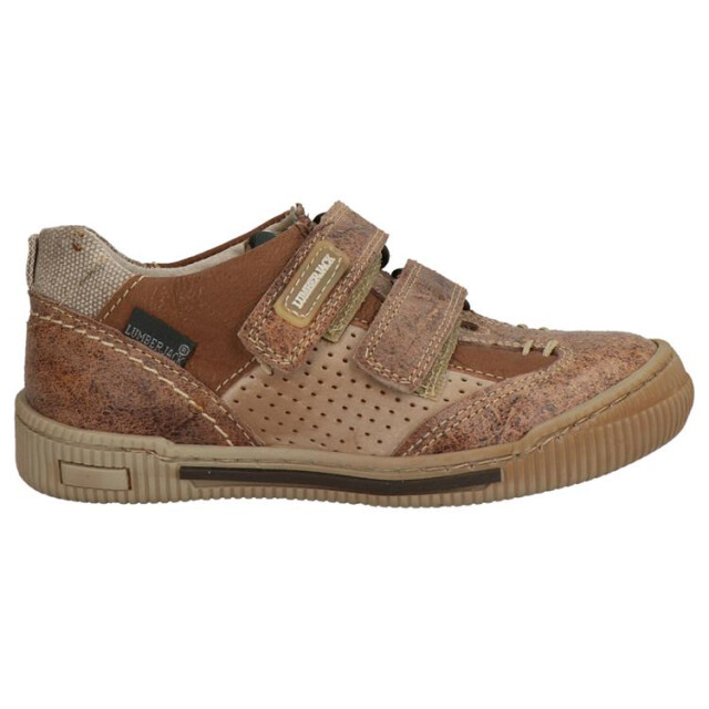 Develab 2799 bruin 2799 bruin large