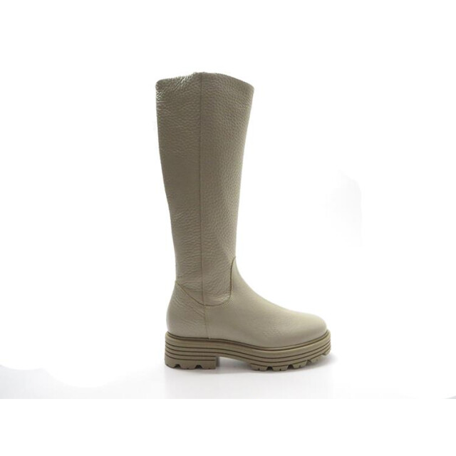 DL Sport 6118 6118 large