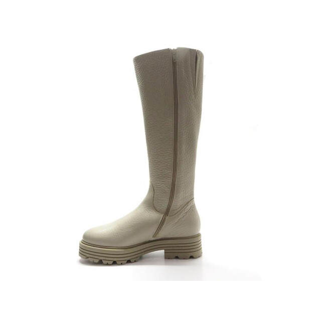 DL Sport 6118 6118 large