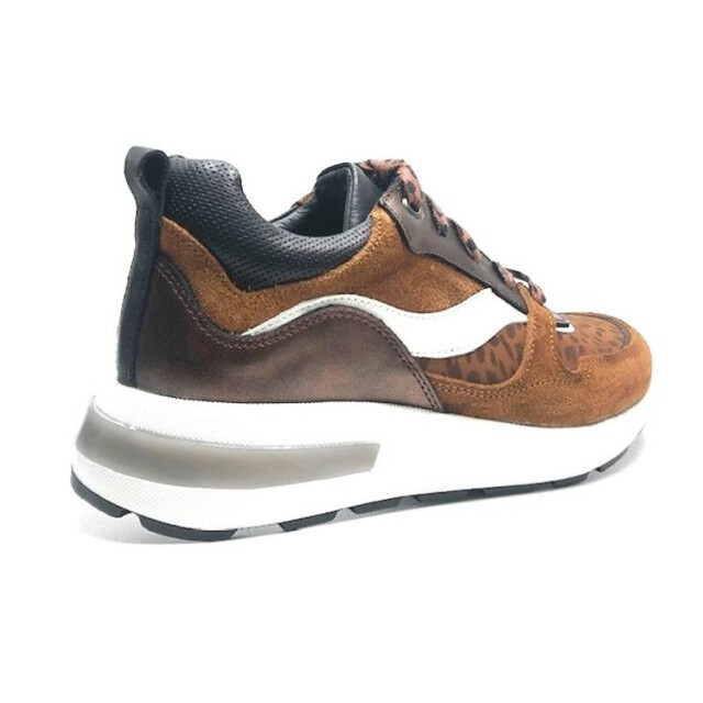 Twins 321662 wijdte 3.5 321662 wijdte 3.5 large