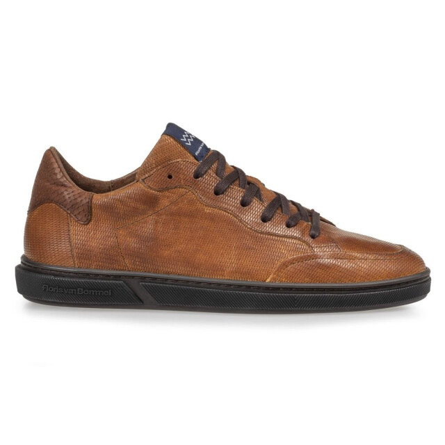 Floris van Bommel   Bruin SFM-10011-23-03-Terri 01.36 large