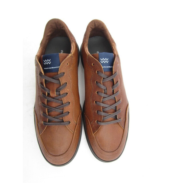 Floris van Bommel   Bruin SFM-10011-23-03-Terri 01.36 large