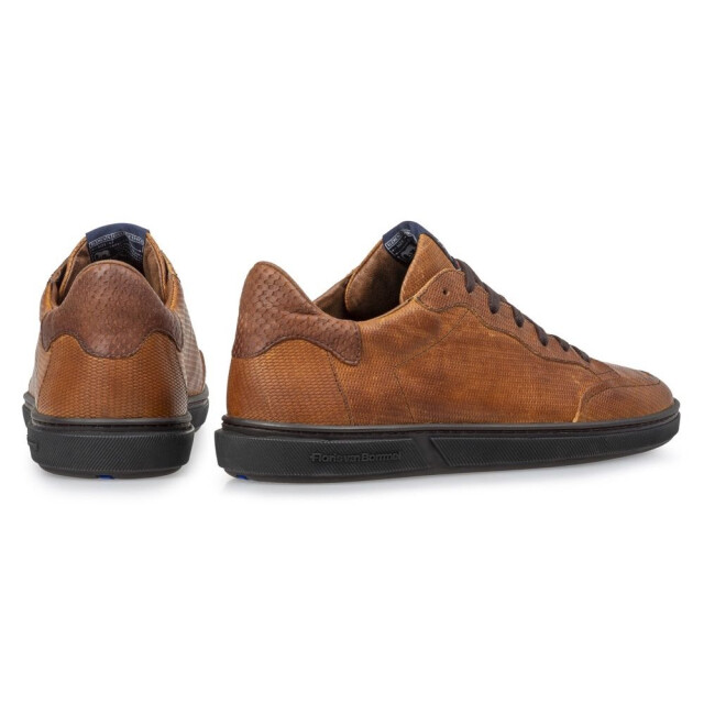 Floris van Bommel   Bruin SFM-10011-23-03-Terri 01.36 large