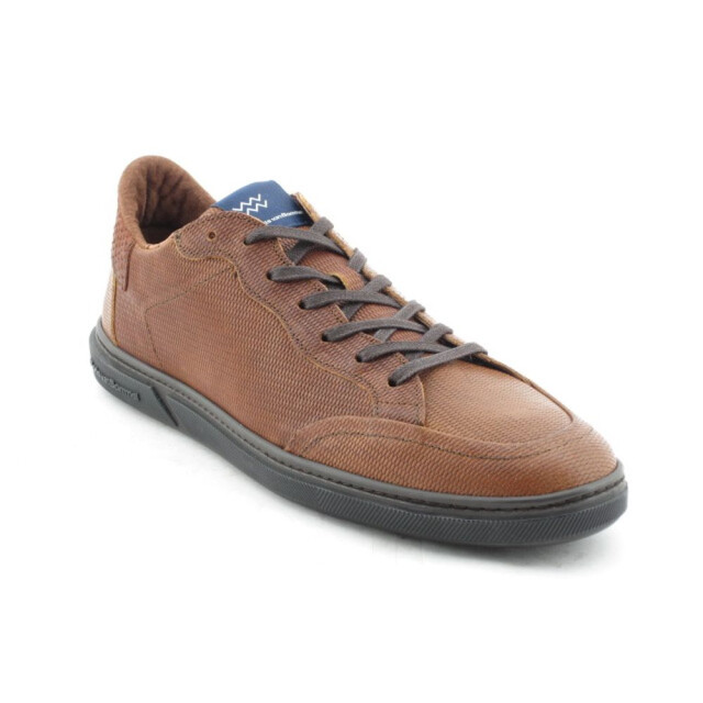 Floris van Bommel   Bruin SFM-10011-23-03-Terri 01.36 large