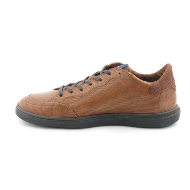 Floris van Bommel   Bruin SFM-10011-23-03-Terri 01.36 large