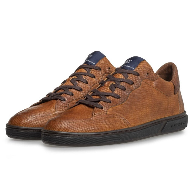 Floris van Bommel   Bruin SFM-10011-23-03-Terri 01.36 large