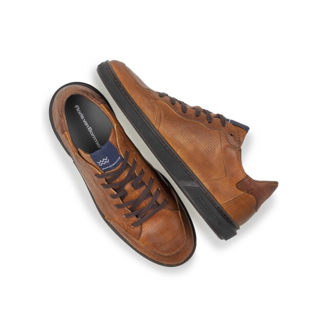 Floris van Bommel   Bruin SFM-10011-23-03-Terri 01.36 large