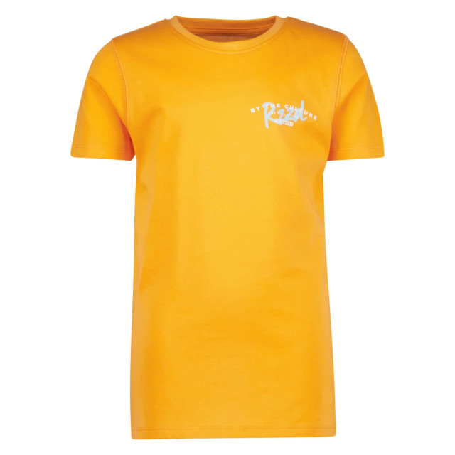 Raizzed Jongens t-shirt sunray fruit 141418978 large