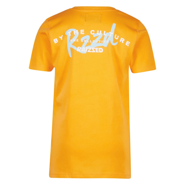 Raizzed Jongens t-shirt sunray fruit 141418978 large