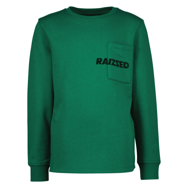 Raizzed Jongens sweater ashmont 142766328 large