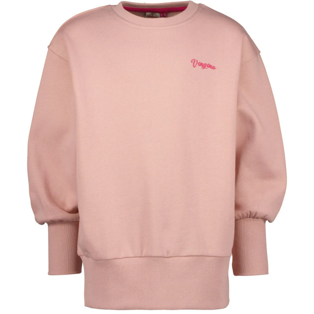 Vingino 144902190 Sweaters Roze 144902190 large
