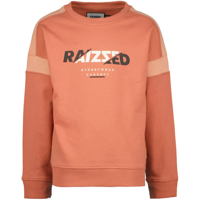 Raizzed Jongens sweater jamison 145445568 large