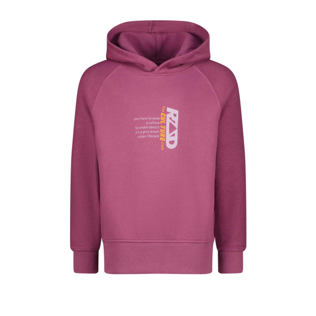 Raizzed hoodie meiden sale