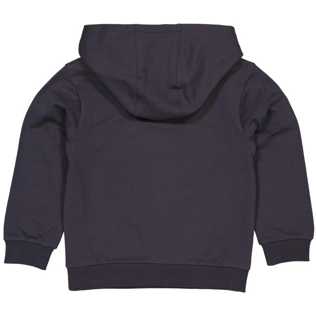 Quapi Jongens hoodie andrei grey metal 146022055 large