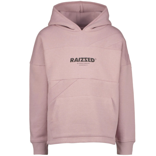 Raizzed Jongens hoodie djurre gray 147835162 large