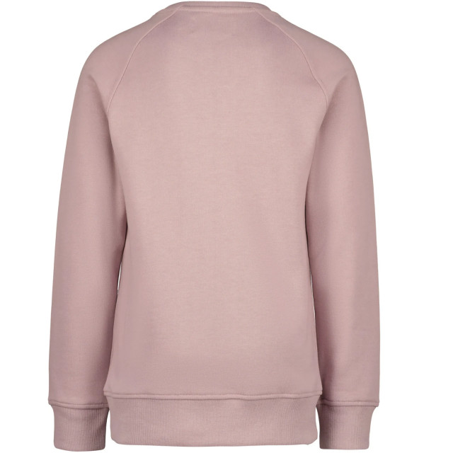 Raizzed Jongens sweater colton gray 147835159 large