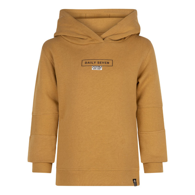 DAILY 7 Jongens hoodie d7 dusty 137655511 large