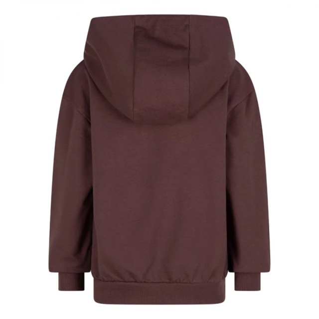 DAILY 7 Meisjes hoodie futur oversized dark mauve 137655396 large