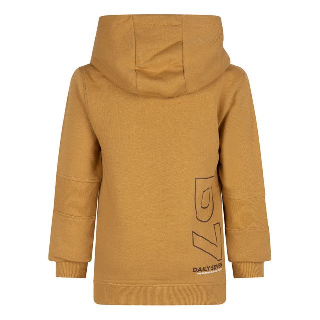 DAILY 7 Jongens hoodie d7 dusty 137655511 large