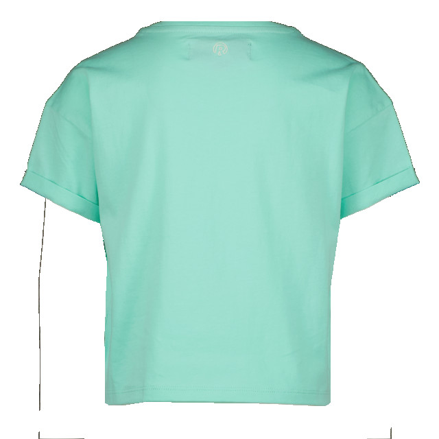 Raizzed Meiden t-shirt oversized crop charlotte hint of mint 139198699 large