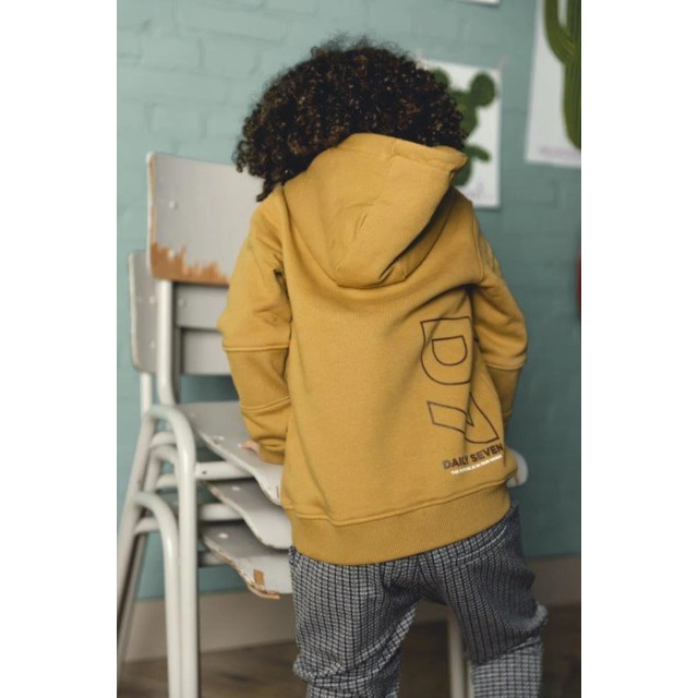 DAILY 7 Jongens hoodie d7 dusty 137655511 large