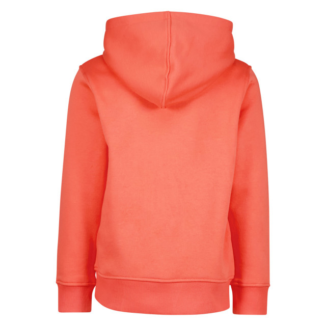 Raizzed Jongens hoodie webb peach 141419002 large