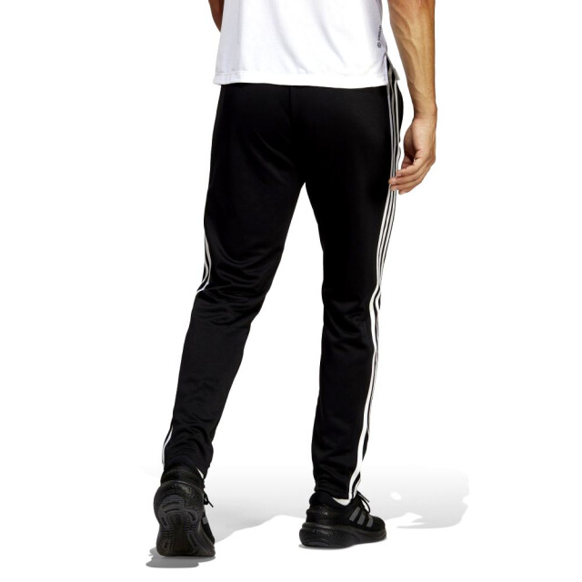 Adidas tr-es base 3pt - 065116_991-XL large