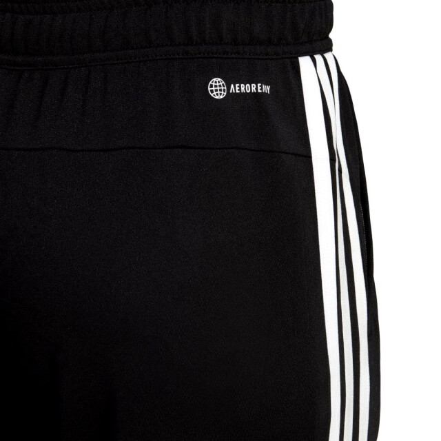 Adidas tr-es base 3pt - 065116_991-XL large