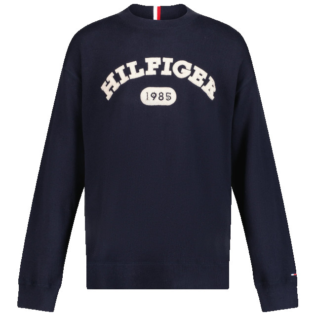 Tommy Hilfiger Kinder jongens trui