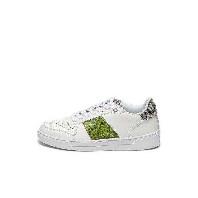 Ted Baker Sneaker coppirr-exotic emboss 241717 sneaker COPPIRR-Exotic Emboss 241717 large