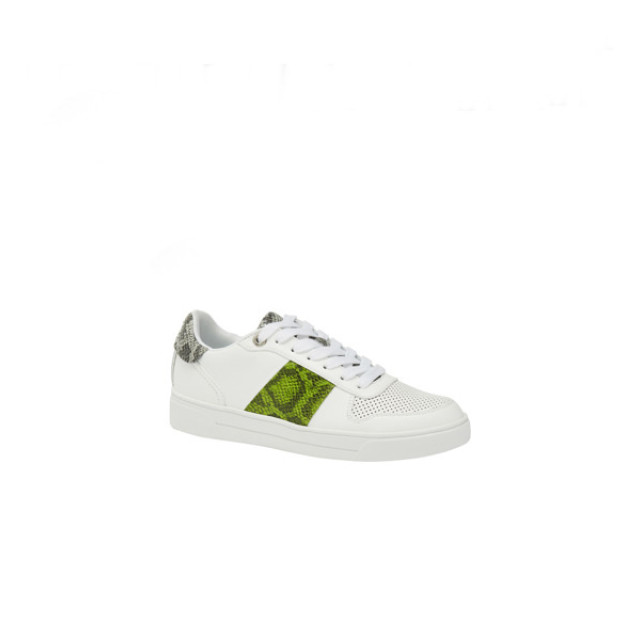 Ted Baker Sneaker coppirr-exotic emboss 241717 sneaker COPPIRR-Exotic Emboss 241717 large