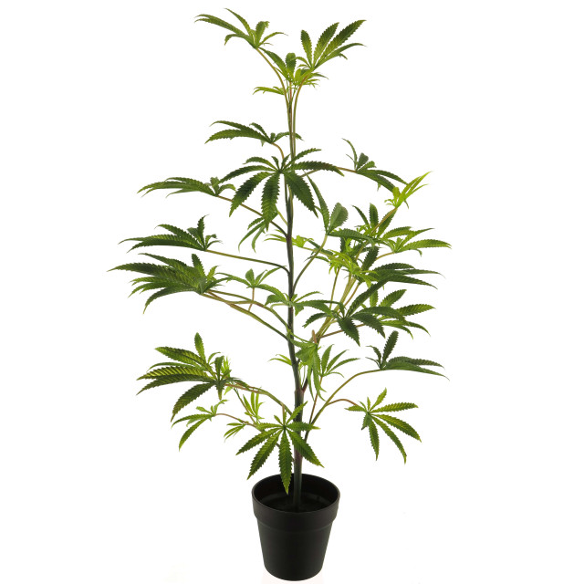 Home67 Kunstplant dutch plant 90 cm 2648238 large