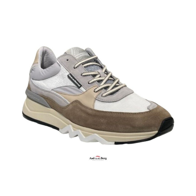 Floris van Bommel   Beige De Zager 07.09 large
