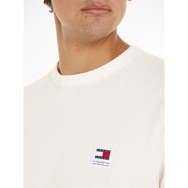 Tommy hilfiger longsleeve heren hot sale