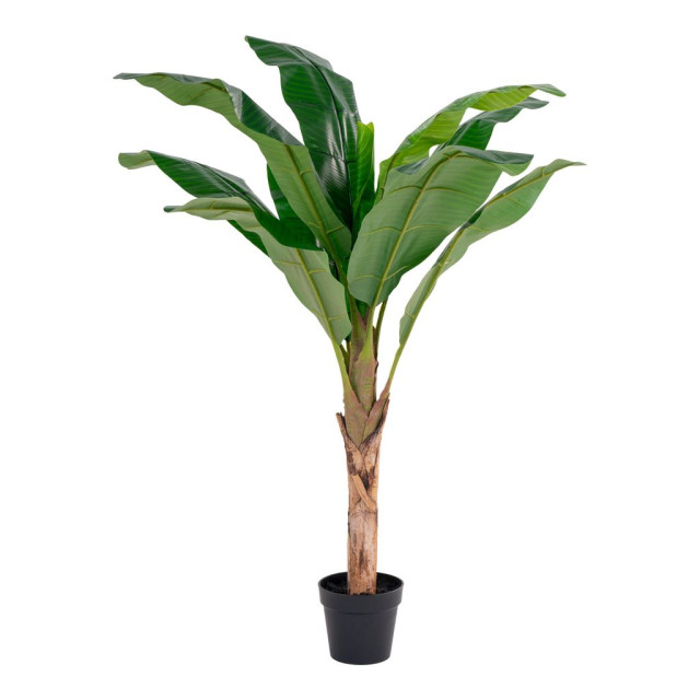 House Nordic Banana palm artificial plant 2814259 large