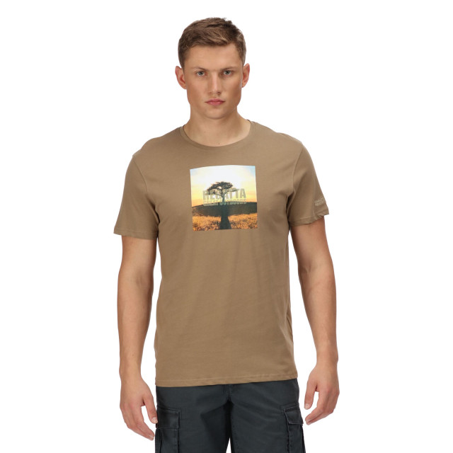 Regatta Heren cline vi boom katoenen t-shirt UTRG6636_goldsand large