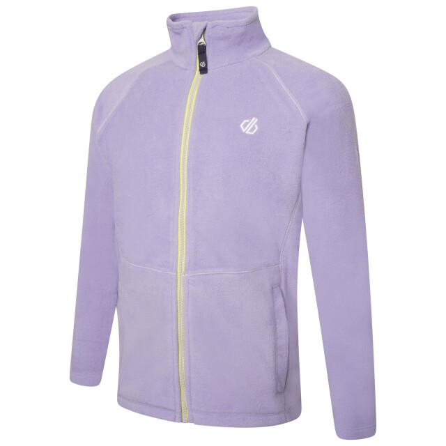 Dare2b Kinder/kids witty fleece jas UTRG6328_wildviolet large