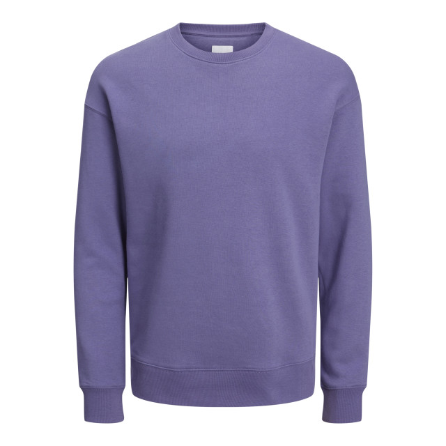 Jack & Jones Jjestar basic sweat crew neck noos 12208182 large