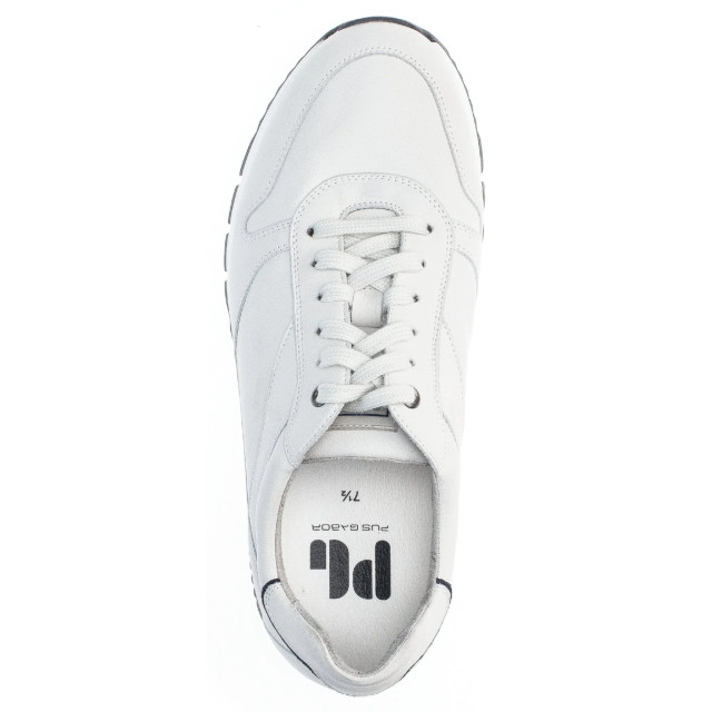 Pius 1019.10.03 heren sneaker 1019.10.03 large