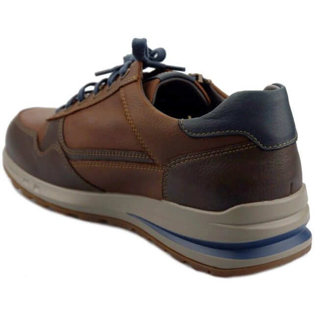 Mephisto   Bruin Bradley large
