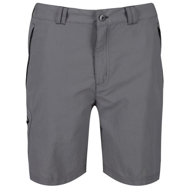 Regatta Heren leesville ii wandelwagentjes UTRG4934_rockgrey large