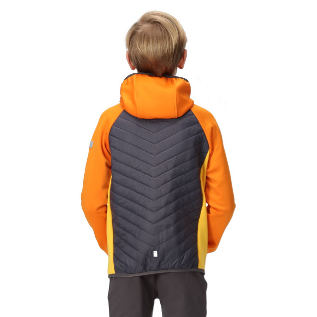 Regatta Kinder/kids kielder hybrid vii gewatteerd jack UTRG9600_orangepeppersealgrey large