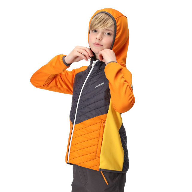 Regatta Kinder/kids kielder hybrid vii gewatteerd jack UTRG9600_orangepeppersealgrey large